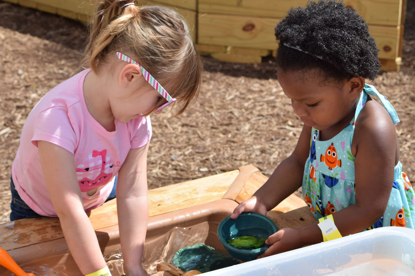 Children's Museum of Illinois